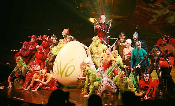 Ovo Cirque Du Soleil
